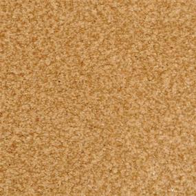 Casual Texture Copper  Orange Carpet