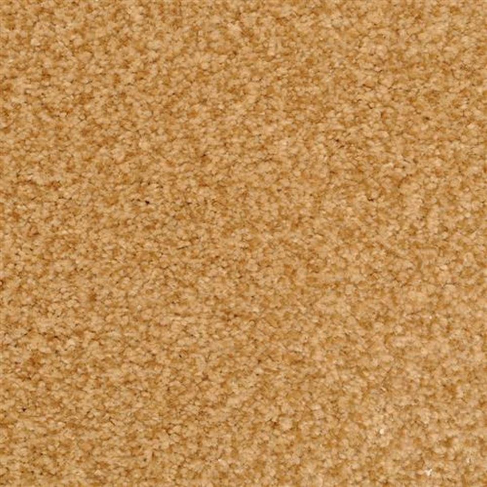 Casual Texture Copper  Orange Carpet