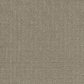 Pattern Enduring Brown Carpet