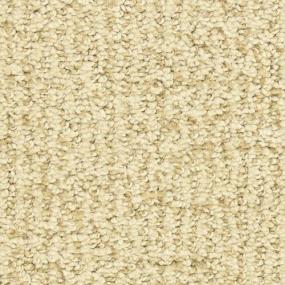 Pattern Abundance Beige/Tan Carpet
