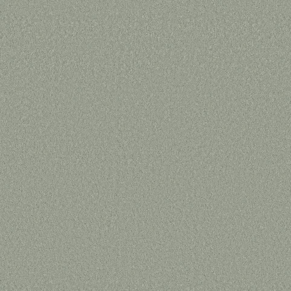 Textured Saxony Oakmoss Gray Carpet
