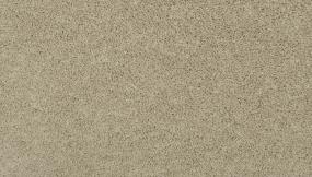 Texture Metallic Gray Carpet