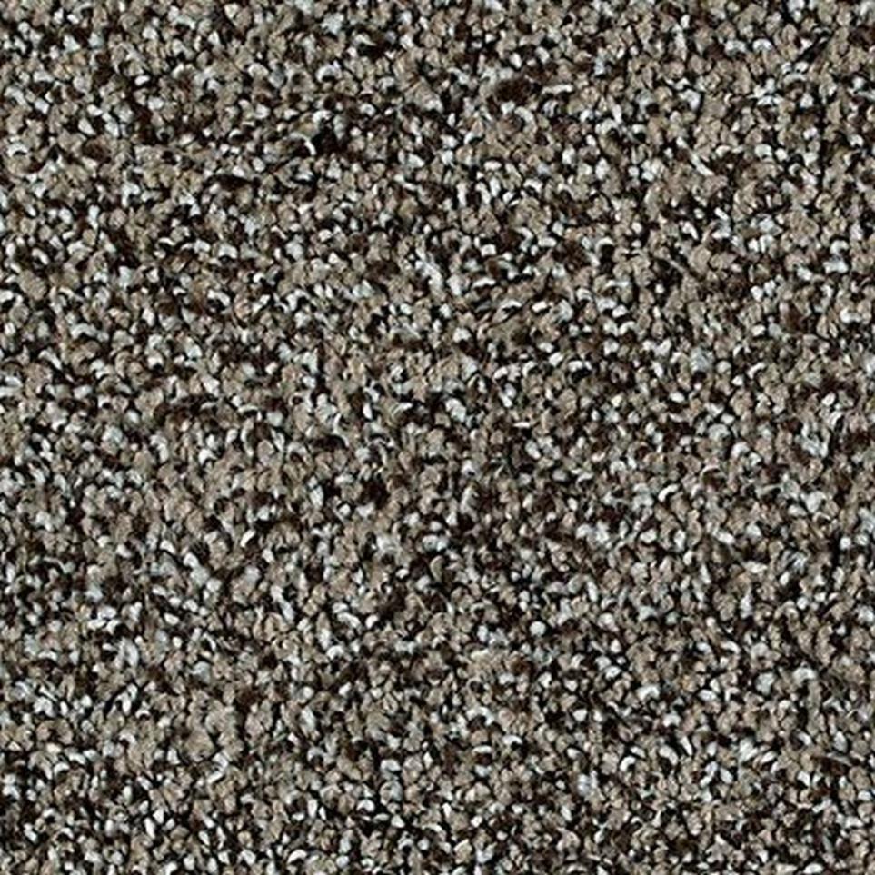 Textured Saxony Crossroads Brown Carpet
