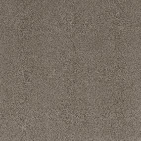 Textured Saxony Prominent Brown Carpet