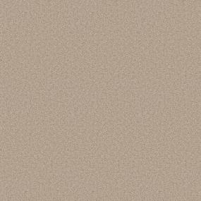 Plush Saxony Oatmeal Beige/Tan Carpet