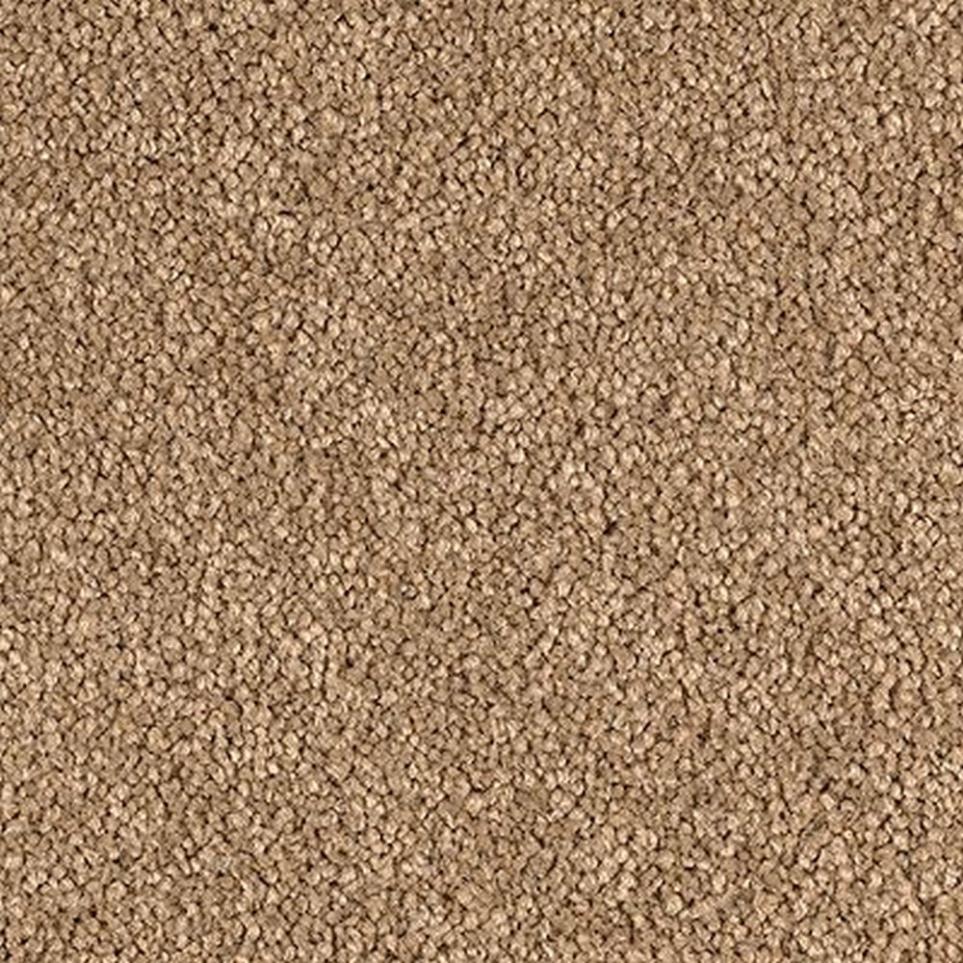 Textured Saxony Earthtone Beige/Tan Carpet