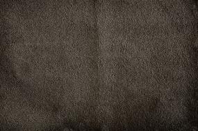 Plush Seal Brown Carpet