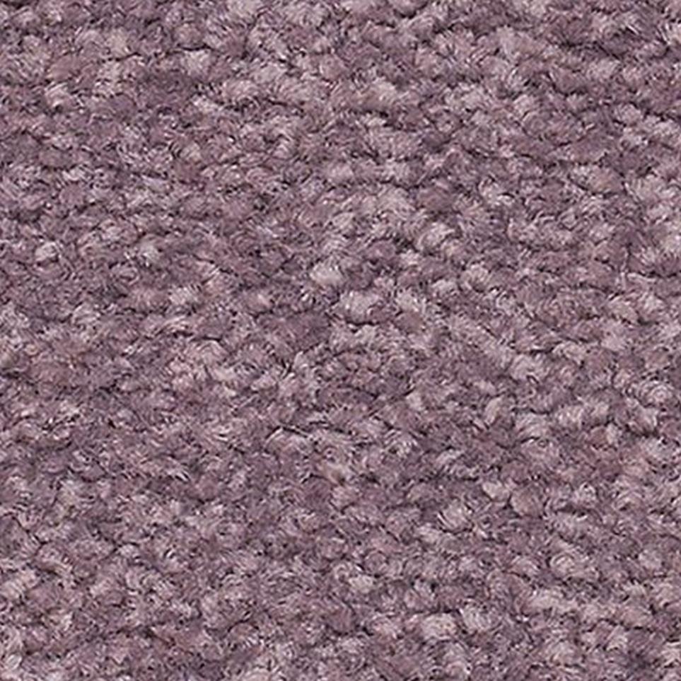 Texture VIOLA Purple Carpet
