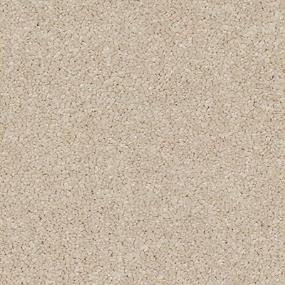 Cloth Beige/Tan Carpet