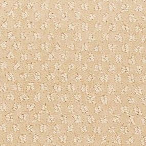 Pattern Bedford Beige/Tan Carpet