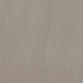 Pattern Sandstone Brown Carpet