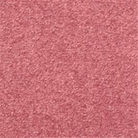 Frieze Dozen Roses Pink Carpet