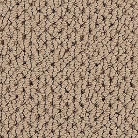 Loop Nomad Brown Carpet