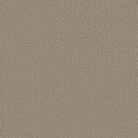 Texture Restful Brown Carpet