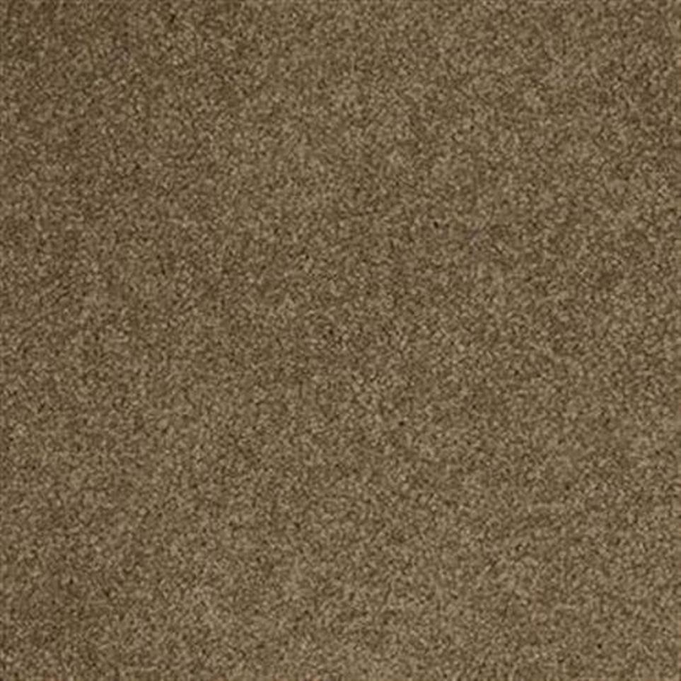 Textured Saxony Nature Brown Carpet