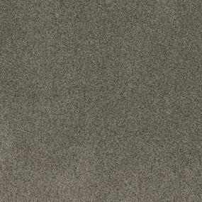 Textured Saxony Versatile Brown Carpet