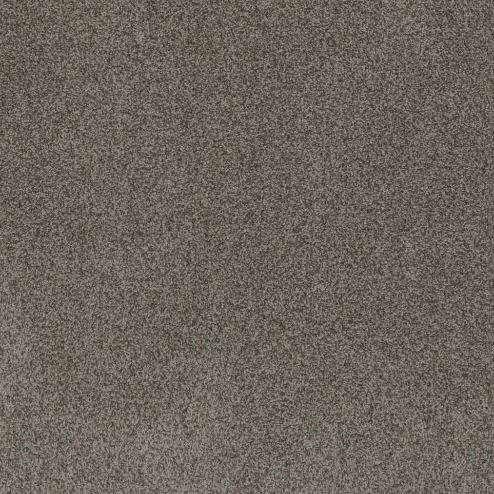 Textured Saxony Versatile Brown Carpet