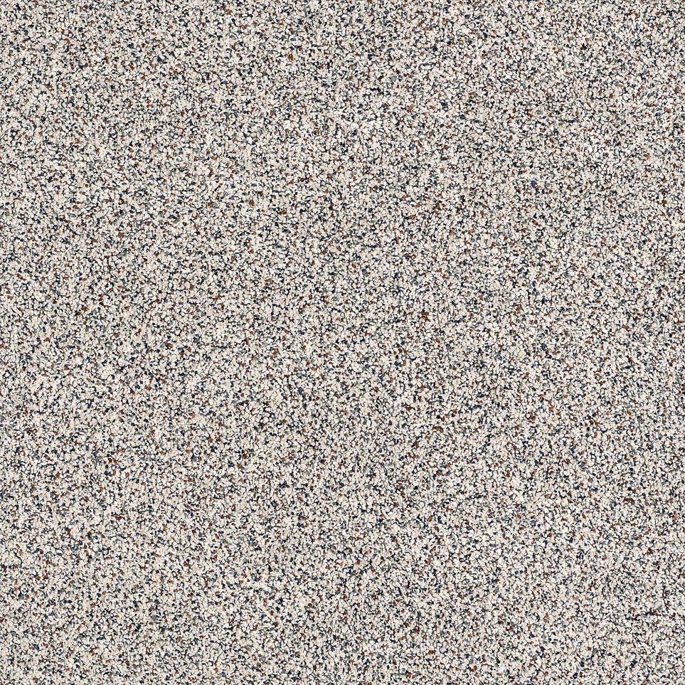 Texture Pebble Gray Carpet