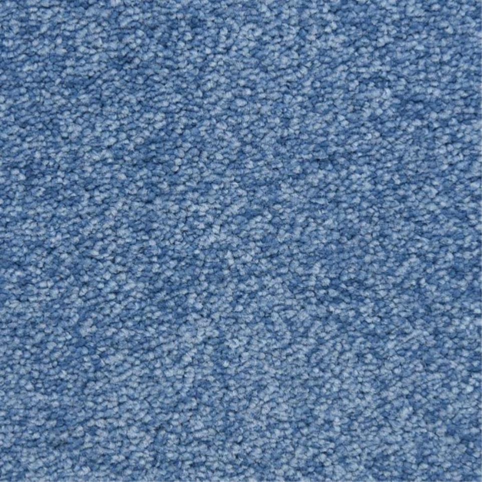 Casual Texture Polo Blue Carpet