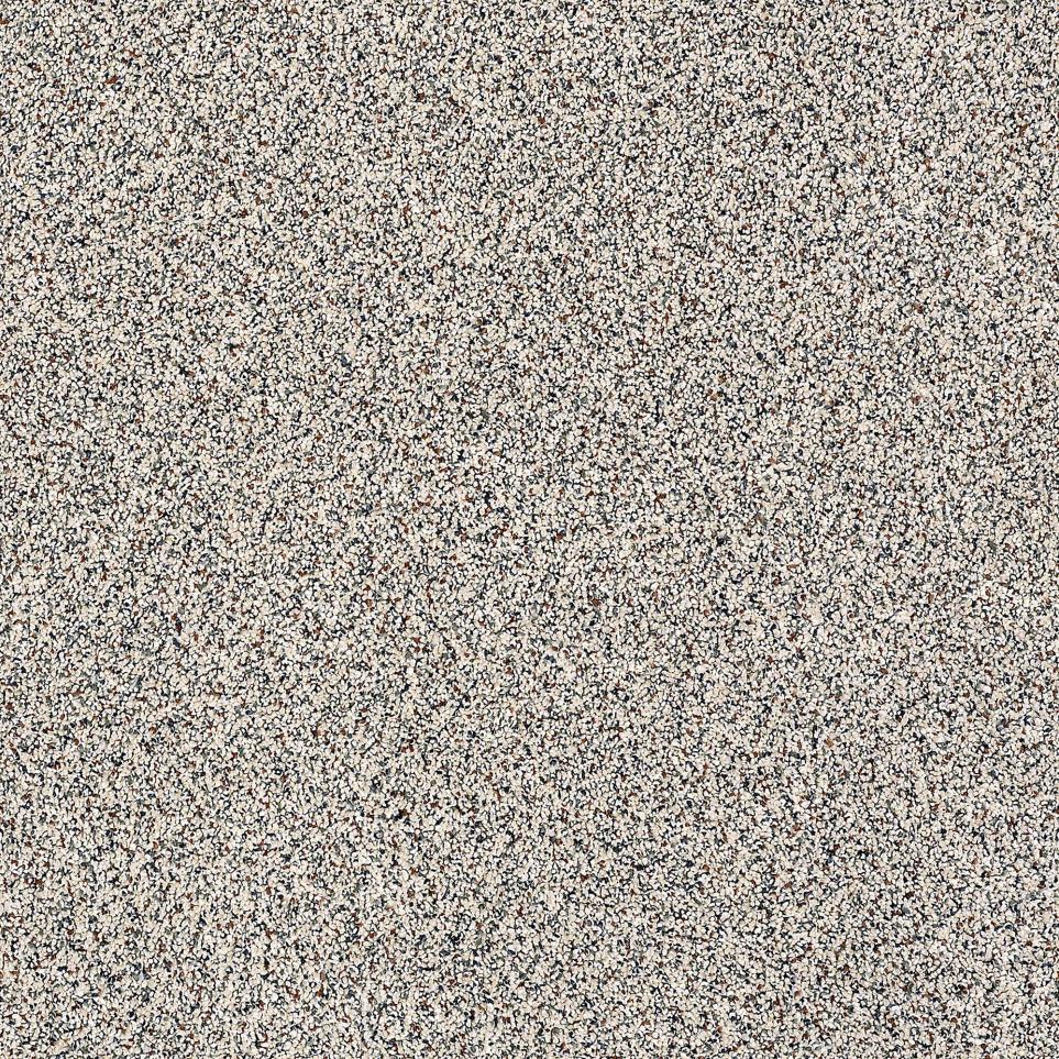 Texture Caprice Gray Carpet