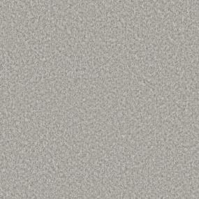 Textured Saxony Versatile Gray Carpet