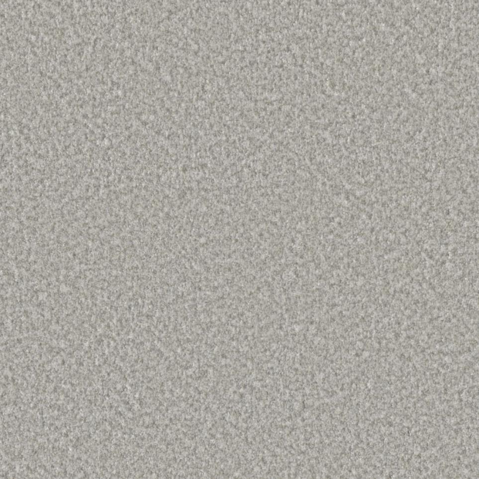 Textured Saxony Versatile Gray Carpet