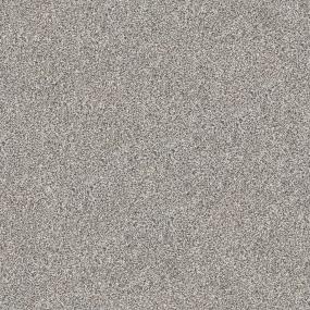 Textured Saxony Woodbury Beige/Tan Carpet