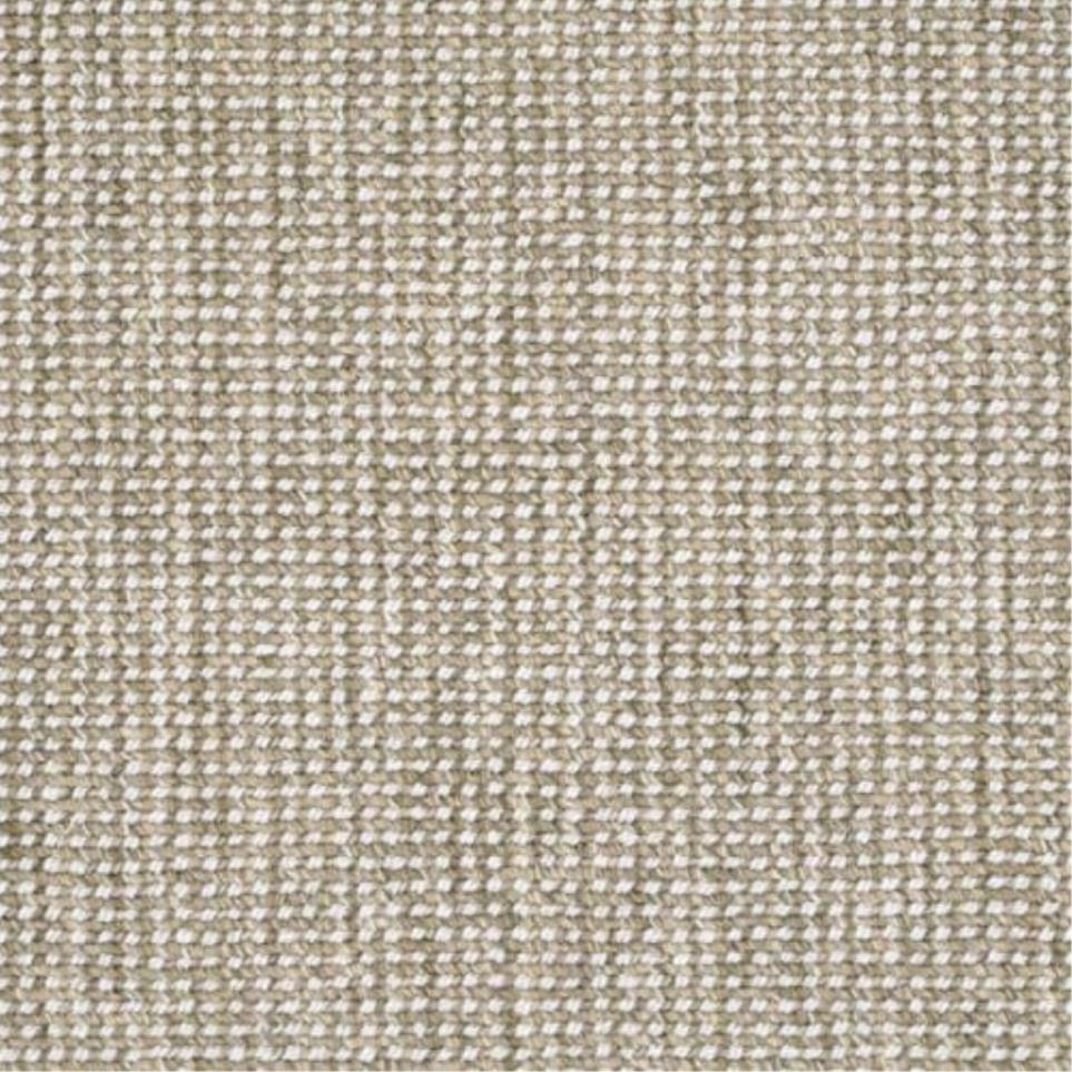 Woven Aide Beige/Tan Carpet