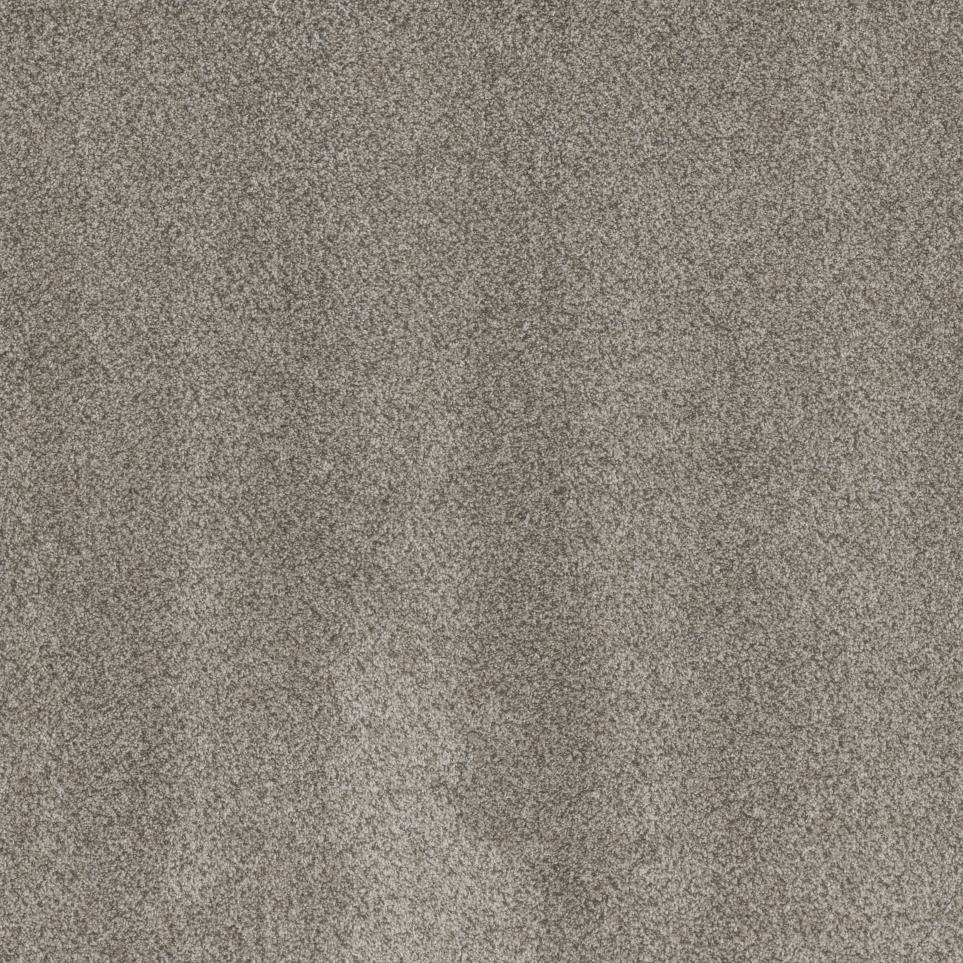 Texture Bountiful Gray Carpet