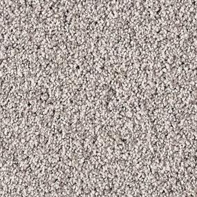 Textured Saxony Noble Gray Carpet