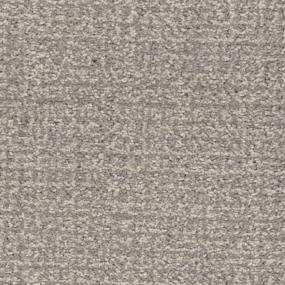 Pattern Fur-Tunate Gray Carpet