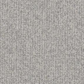 Berber Observe Gray Carpet