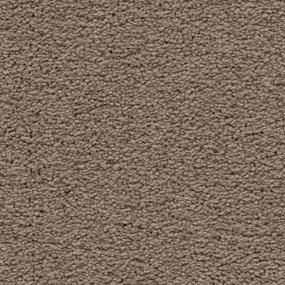 Textured Saxony Haven Brown Carpet