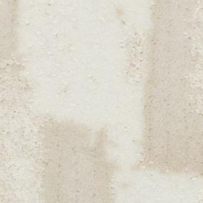 Pattern Harmony Gray Carpet