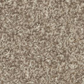 Casual Texture Soak Up The Sun Brown Carpet