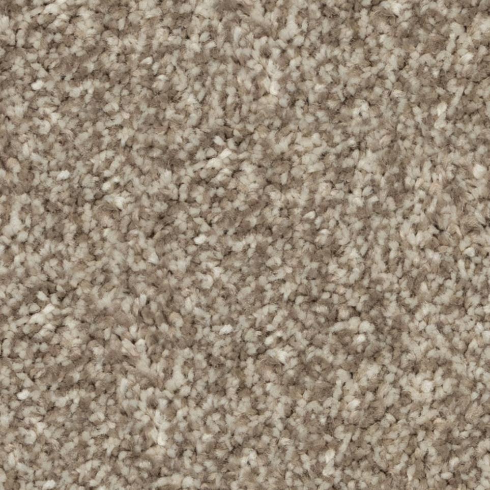 Casual Texture Soak Up The Sun Brown Carpet