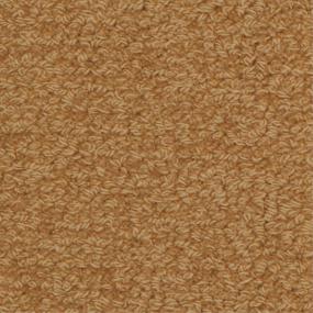 Loop Trehin Beige/Tan Carpet