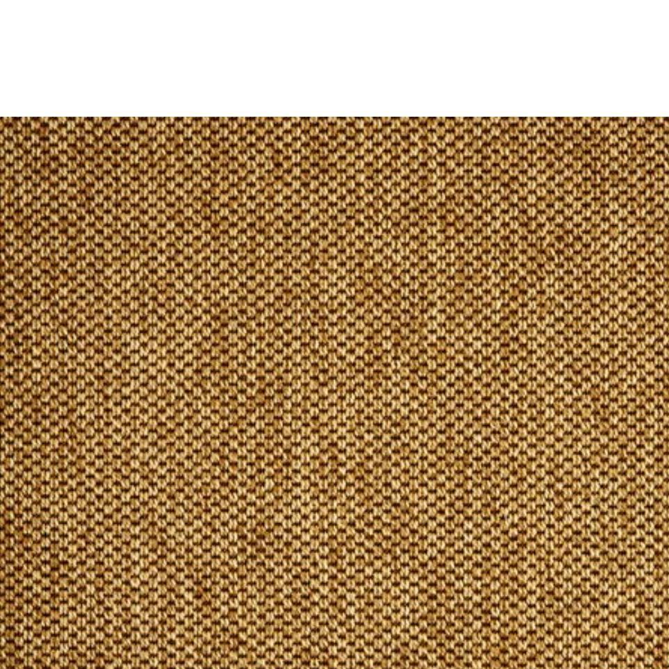 Pattern Saddle Beige/Tan Carpet