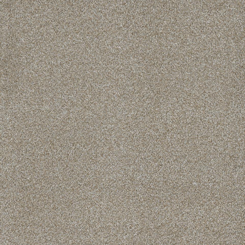 Textured Saxony Gilding Beige/Tan Carpet