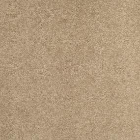 Textured Saxony Dakota Beige/Tan Carpet