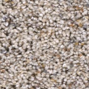 Textured Saxony Smithsonian Beige/Tan Carpet