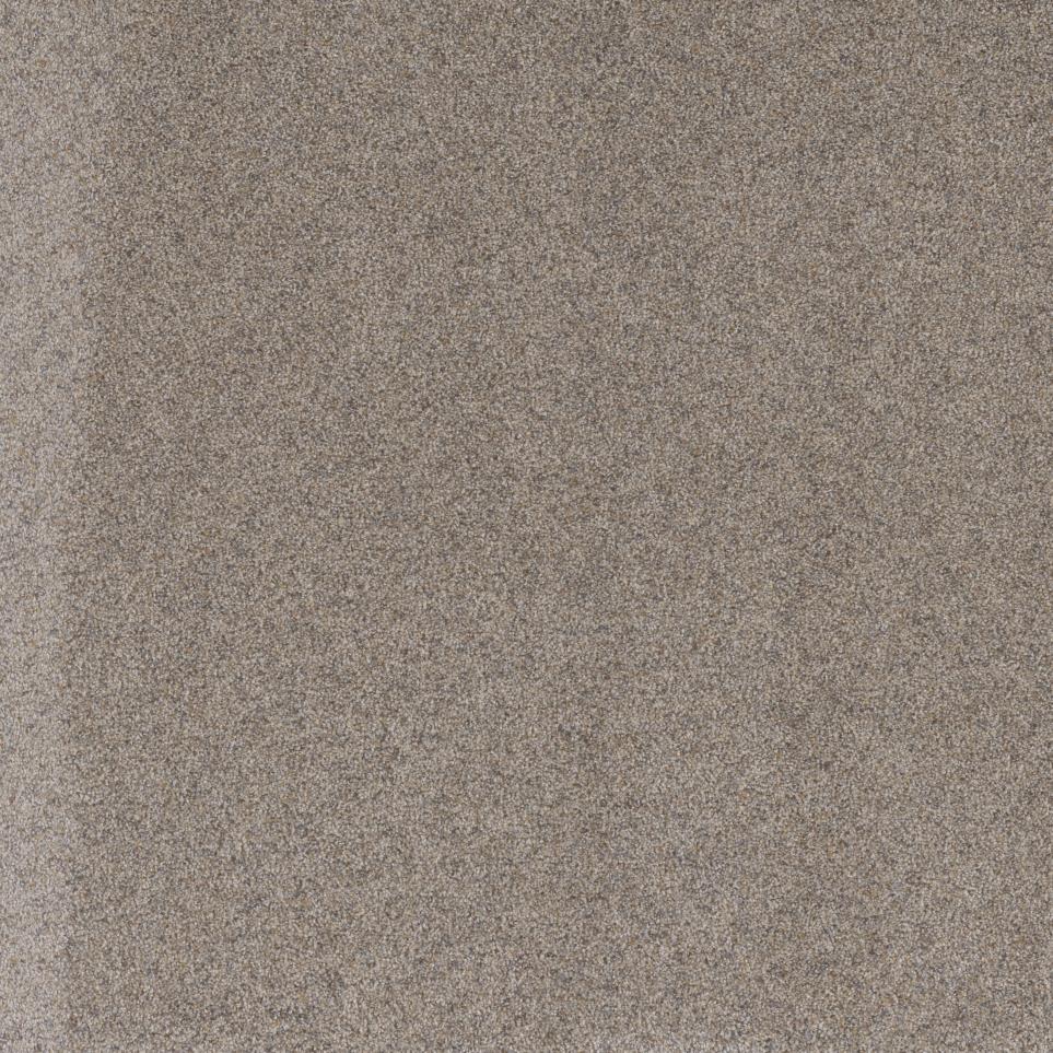 Texture Smithsonian Beige/Tan Carpet