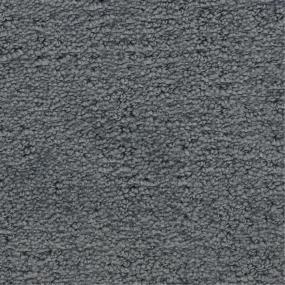 Pattern Summerland Gray Carpet