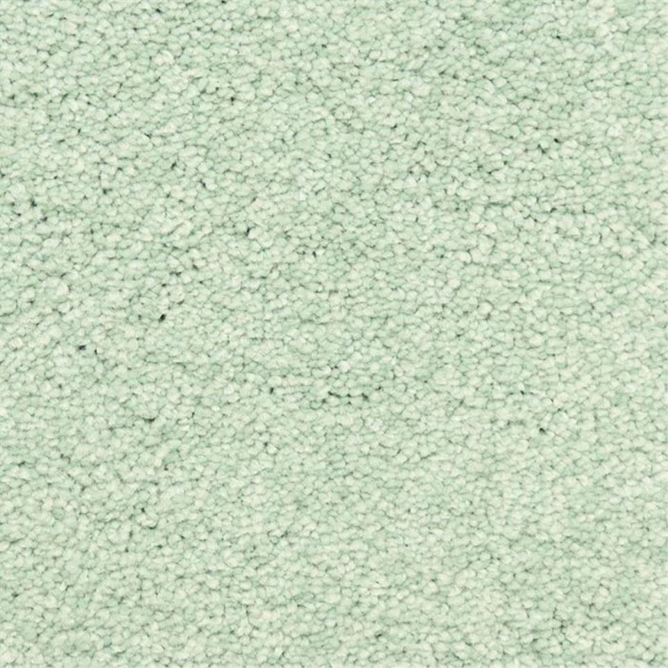 Casual Texture Spray Green Carpet
