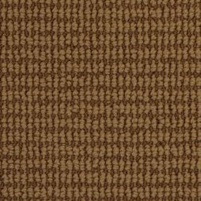 Pattern Picket Fence Beige/Tan Carpet