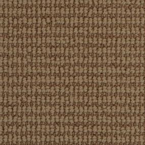 Pattern Studio Clay Beige/Tan Carpet