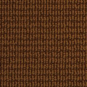 Pattern Coastal Path Brown Carpet