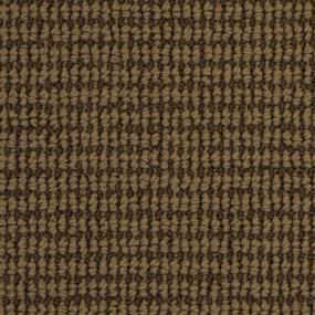 Pattern Sanctuary Brown Carpet
