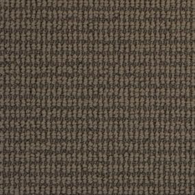 Pattern Pashmina Brown Carpet