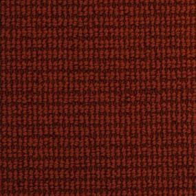 Pattern Berry Fizz Red Carpet